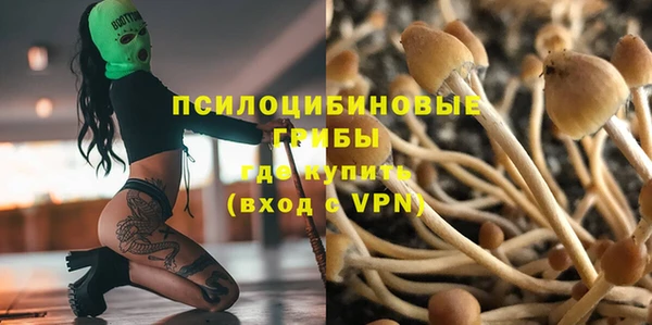прущие крисы Нея