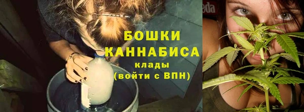 шишки Нефтегорск