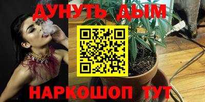 твердый Будённовск
