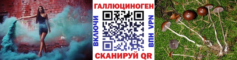 Галлюциногенные грибы мухоморы ОМГ ОМГ ССЫЛКА Долгопрудный
