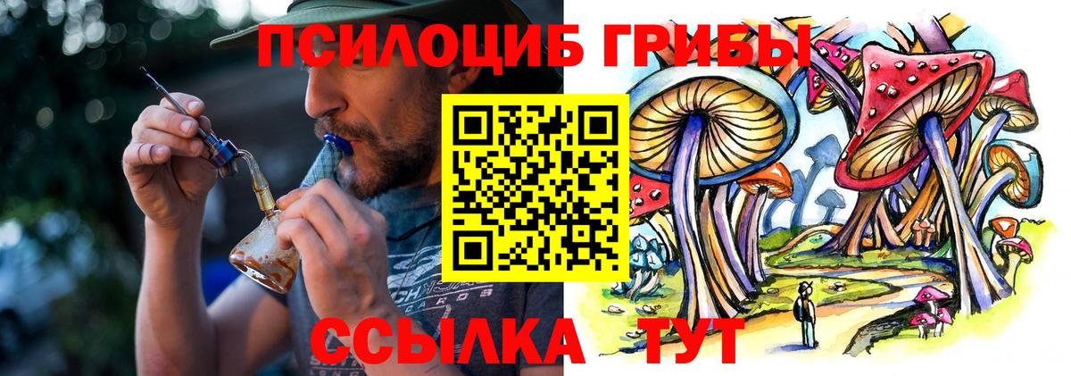 Галлюциногенные грибы MAGIC MUSHROOMS  где найти наркотики  Долгопрудный  Вход с VPN 