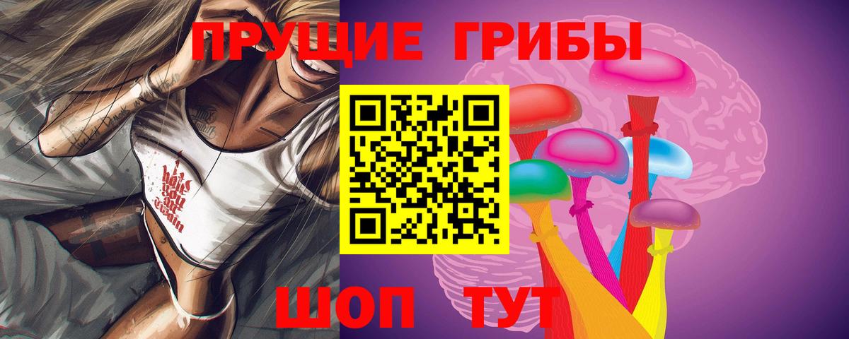 Псилоцибиновые грибы MAGIC MUSHROOMS  хочу наркоту  Долгопрудный  Галлюциногенные грибы GOLDEN TEACHER 